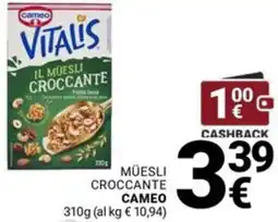 Supermercati Gulliver Müesli croccante CAMEO offerta