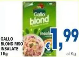 DEM Gallo blond riso insalate offerta