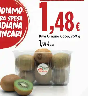 Ipercoop Coop kiwi offerta