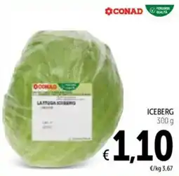 Spazio Conad Iceberg offerta