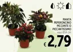 Spazio Conad Pianta peperoncino piccante o piccantissimo offerta