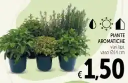 Spazio Conad Piante aromatiche offerta