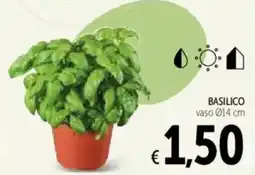 Spazio Conad Basilico offerta