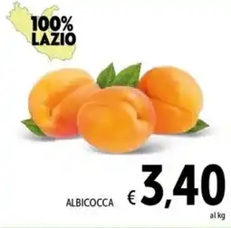 Spazio Conad Albicocca offerta
