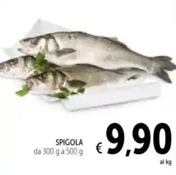 Spazio Conad Spigola offerta