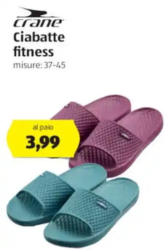 ALDI Crane Ciabatte fitness offerta