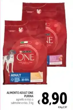 Spazio Conad Alimento adult one PURINA offerta