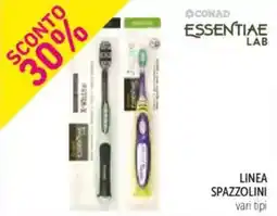 Spazio Conad Linea SPAZZOLINI offerta