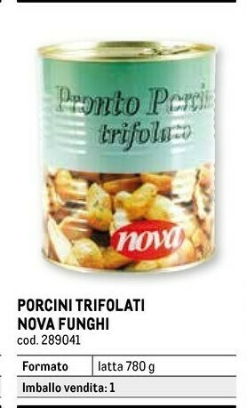 Funghi sott olio