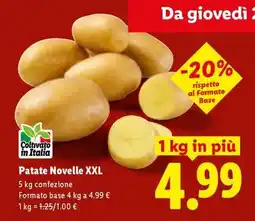Lidl Patate Novelle XXL offerta