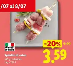 Lidl Spiedini Di Suino offerta