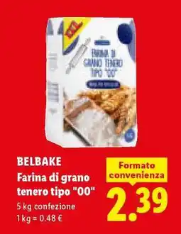 Lidl BELBAKE offerta