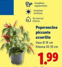 Lidl Peperoncino piccante assortito offerta