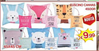 Satur Cuscino offerta
