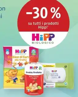 dm drogerie markt Hipp offerta