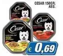 Maury's Cesar offerta