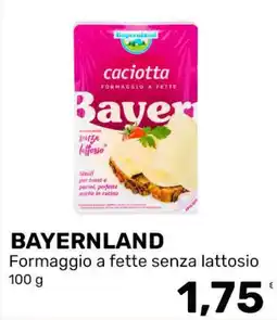 Iper Tosano BAYERNLAND Formaggio a fette senza lattosio offerta