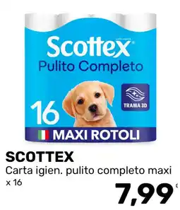 Iper Tosano SCOTTEX Carta igien. pulito completo maxi offerta