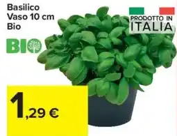 Carrefour Market Basilico Vaso 10 cm Bio offerta