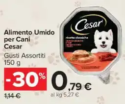 Carrefour Market Alimento Umido per Cani offerta