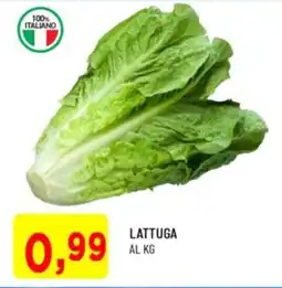 DPiù Lattuga offerta