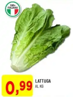 DPiù Lattuga offerta
