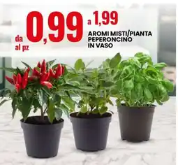 Eurospin AROMI MISTI/PIANTA PEPERONCINO IN VASO offerta