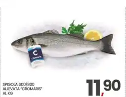 Eurospar SPIGOLA 600/800 offerta