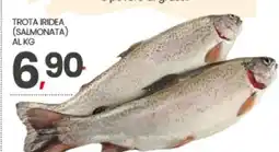 Eurospar Trota Iridea Salmonata offerta