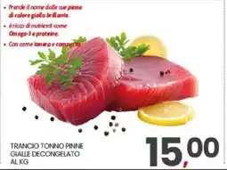Eurospar TRANCIO TONNO PINNE GIALLE DECONGELATO AL KG offerta