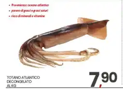 Eurospar TOTANO ATLANTICO DECONGELATO AL KG offerta