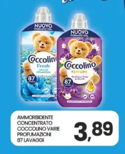 Eurospar AMMORBIDENTE CONCENTRATO COCCOLINO VARIE PROFUMAZIONI offerta