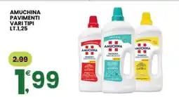 Eurospar AMUCHINA Pavimenti vari tipi offerta