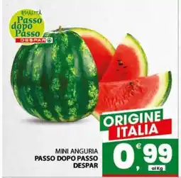 Eurospar MINI ANGURIA offerta