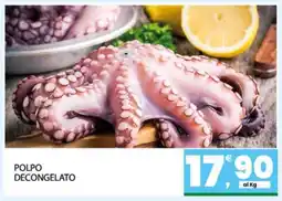 Eurospar POLPO offerta