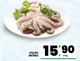 Eurospar POLPO INTERO offerta