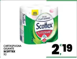 Eurospar CARTASPUGNA GIGANTE offerta
