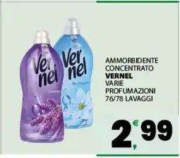 Eurospar VERNEL offerta