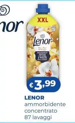 Acqua & Sapone LENOR offerta