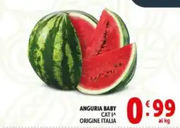 Deco Supermercati Anguria baby offerta