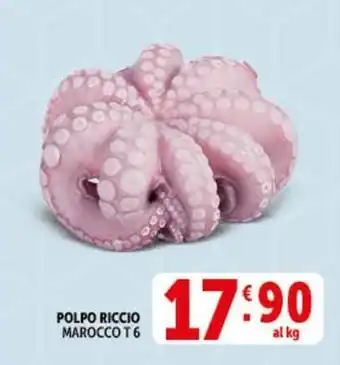 Deco Supermercati Polpo riccio marocco t6 offerta
