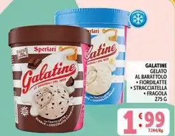 Deco Supermercati Galatine gelato al barattolo fiordilatte stracciatella fragola offerta