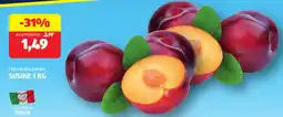 ALDI I colori del sapore susine offerta