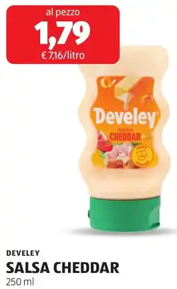 ALDI Develey salsa cheddar offerta