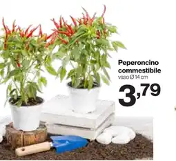 In'S Mercato Peperoncino commestibile offerta