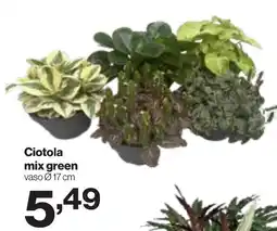 In'S Mercato Ciotola mix green offerta