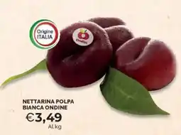 Mercatò Nettarina polpa bianca ONDINE offerta
