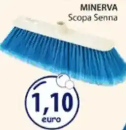 Acqua & Sapone MINERVA Scopa Senna offerta