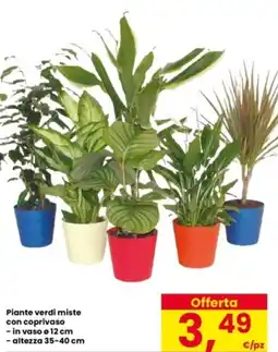 Interspar Piante verdi miste con coprivaso offerta