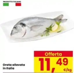 Interspar Orata allevata in Italia offerta